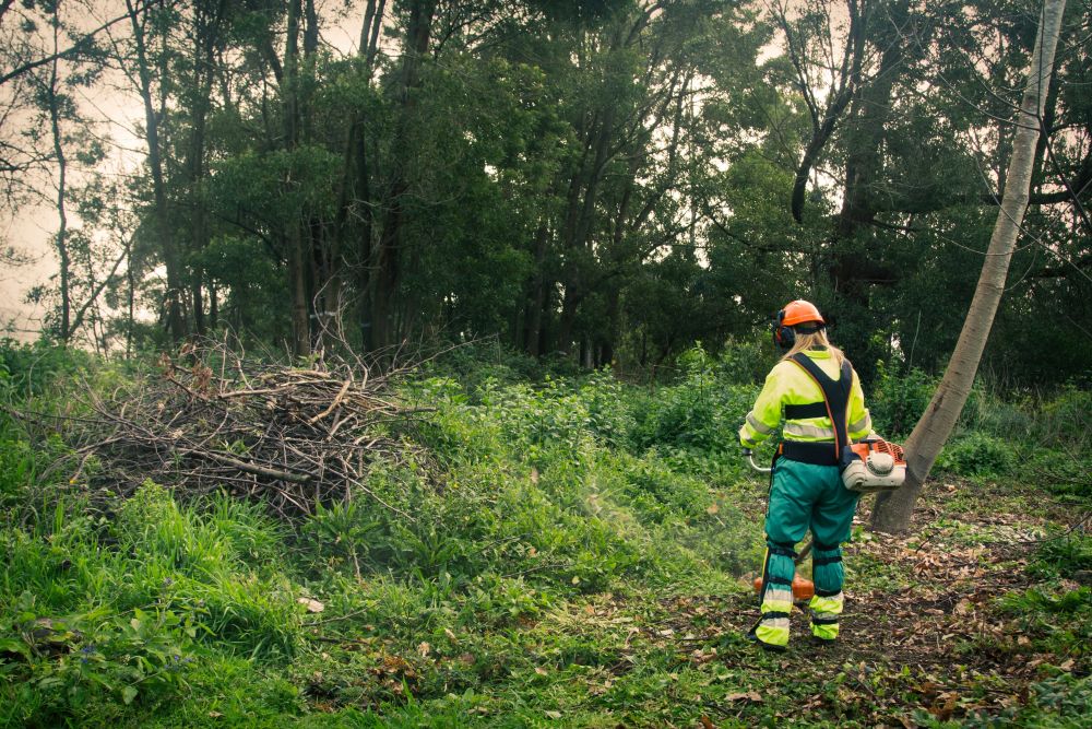worker clearing sticks